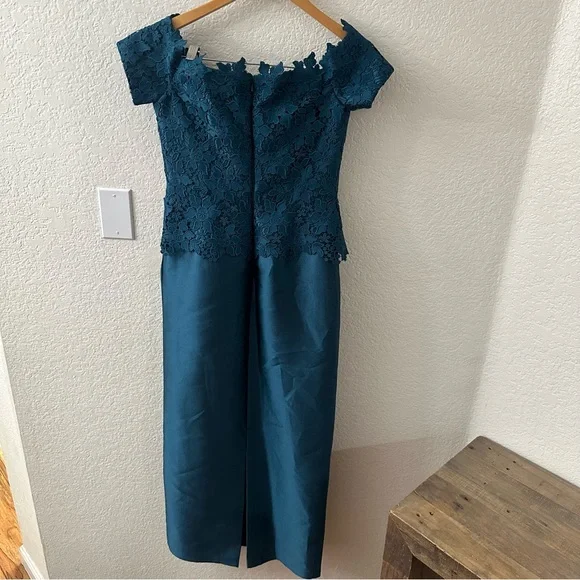 Ricki freeman for Teri Jon Lace Gazar Column Gown size 4 - Picture 5 of 6